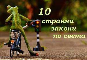 10 странни закони по света
